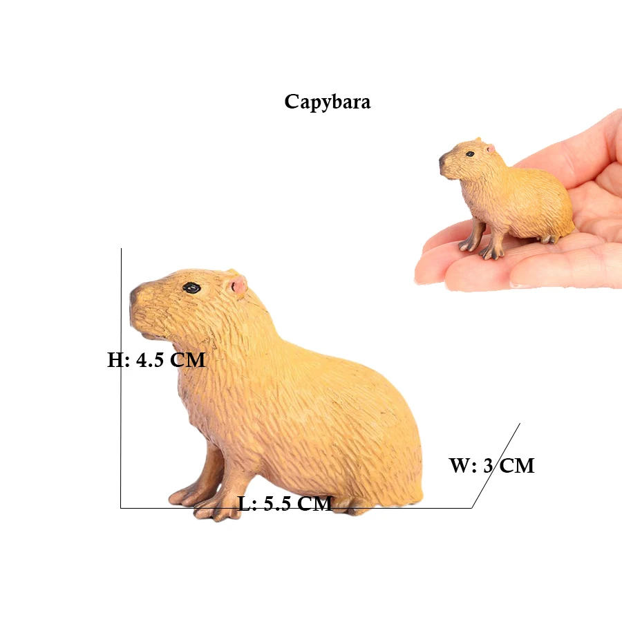 Capibara Capybaras ardilla mar - Kids Toys Reviews reseña y precio