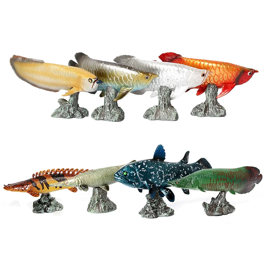 Modelo de Peces Arowana, Pirar - Kids Toys Reviews reseña y precio