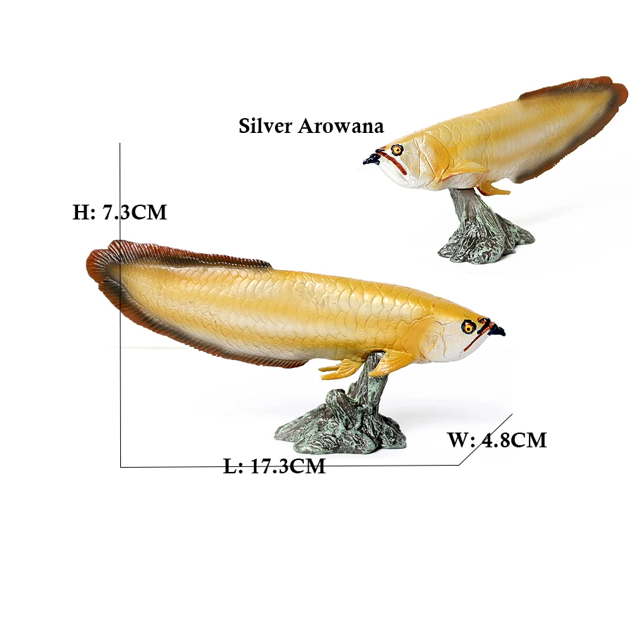 Modelo de Peces Arowana, Pirar - Kids Toys Reviews reseña y precio