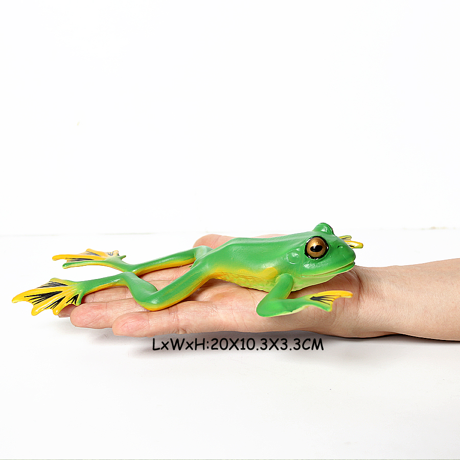Modelos de ranas de animales s - Kids Toys Reviews reseña y precio